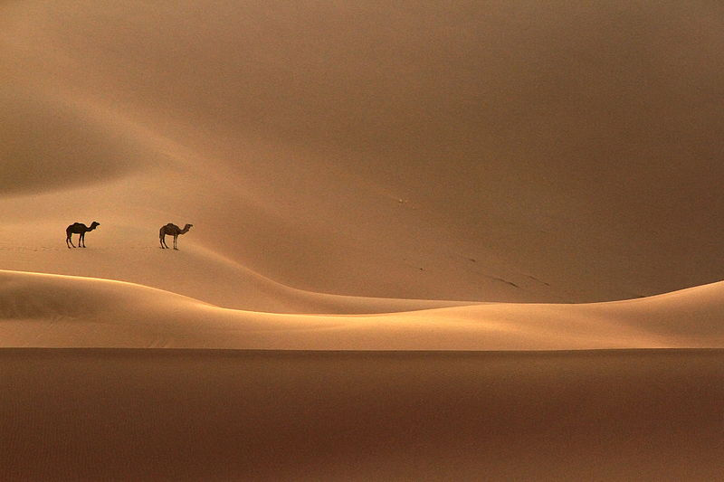 4 day Morocco Sahara Desert tour from Marrakech to Merzouga
